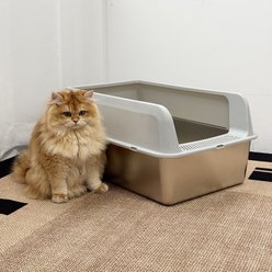 Wisfor High Sided Spill Proof Stainless Steel Cat Litter Box Pan with Spoon, Large: 13-in slide 2 of 8