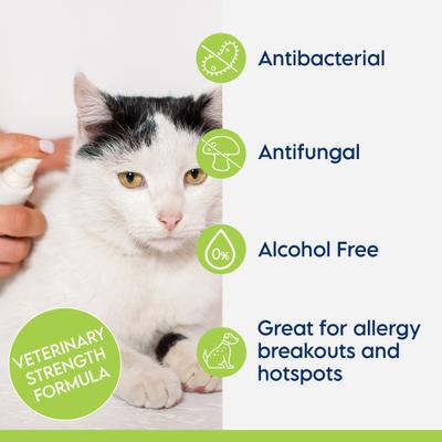 Show full view: Swederma Keto-C Dog & Cat Spray, Cucumber Melon Scent, White, 8-fl oz bottle slide 5 of 7