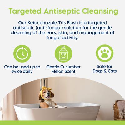 Show full view: Swederma Keto-C Tris Dog & Cat Flush, White, 12-fl oz bottle slide 6 of 7