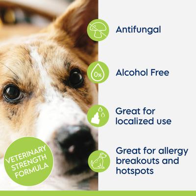 Show full view: Swederma Keto-C Tris Dog & Cat Flush, White, 12-fl oz bottle slide 5 of 7