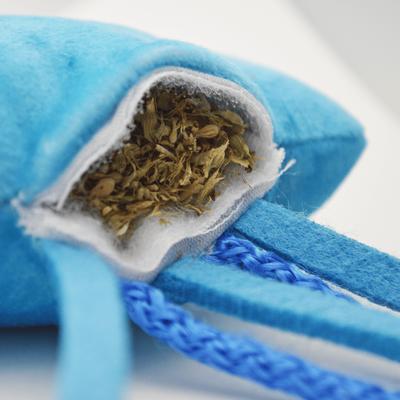 Show full view: Kitty Ka-Zoom Zoomie Jelly Fish Refillable Catnip Cat Toy with Catnip slide 4 of 5