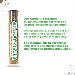 Meowijuana Christmas Get Waddled Cozy Penguin Plush Cat Toy with Catnip, Multicolor, Small slide 2 of 9