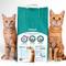Show in main carousel: Okocat Multi-Cat Premium Clumping Wood Unscented Cat Litter, 12.6-lb bag slide 3 of 12