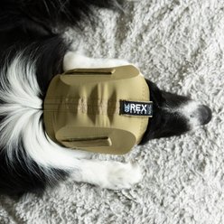 Rex Specs Dog Ear Pro, Coyote, 2 slide 2 of 9