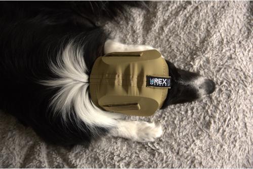 Show full view: Rex Specs Dog Ear Pro, Coyote, 4 slide 3 of 9