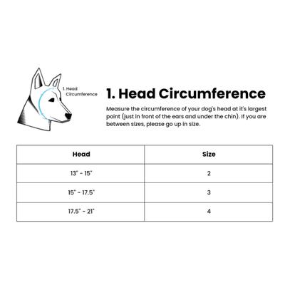 Show full view: Rex Specs Dog Ear Pro, Black, 2 slide 3 of 9