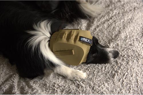 Show full view: Rex Specs Dog Ear Pro, Coyote, 4 slide 6 of 9