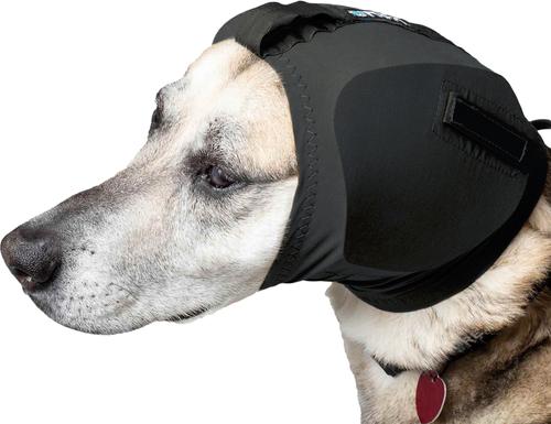 Show full view: Rex Specs Dog Ear Pro, Black, 2 slide 6 of 9