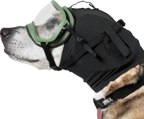 Show full view: Rex Specs Dog Ear Pro, Black, 2 slide 2 of 9