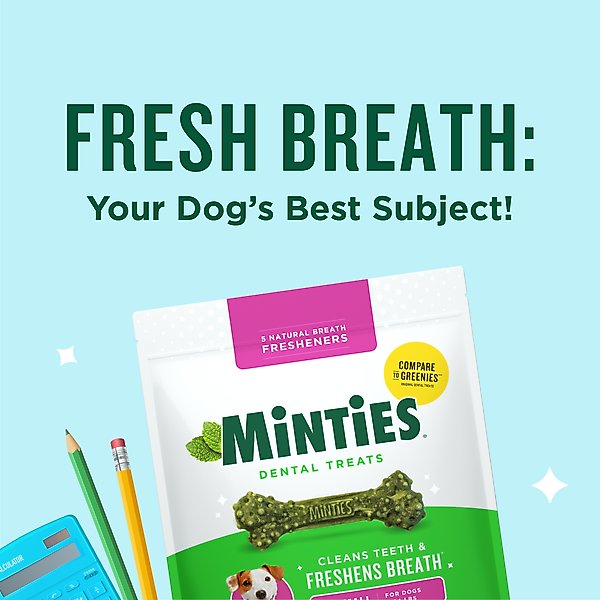 Minties Tiny/Small Mint-Flavored Dental Dog Treats, 5-24 lbs