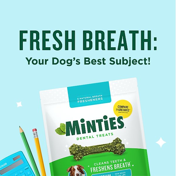 Minties Medium Mint-Flavored Dental Dog Treats, 25-50 lbs