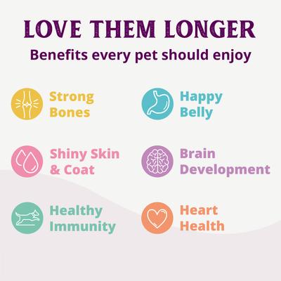 Show full view: Health Extension Grain-Free Chicken Canned Dog Food, 12.5-oz, case of 12 slide 9 of 12