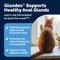 Show in main carousel: Vetnique Labs Glandex Feline Anal Gland Support Probiotic & Digestion Tuna Flavored Powder Supplement for Cats, 4-oz jar slide 5 of 12