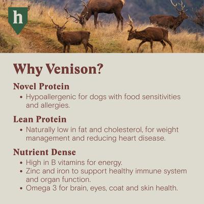 Show full view: COMFURT COLLAR Stuffed Not Inflatable Dog & Cat Recovery Collar, Camo, Large slide 10 of 11