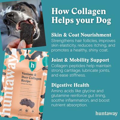 Show full view: COMFURT COLLAR Stuffed Not Inflatable Dog & Cat Recovery Collar, Camo, Large slide 9 of 11