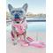 Show in main carousel: Sassy Woof Malibu Dog Harness & Leash, Pink, Small: 16 to 21-in chest slide 8 of 9