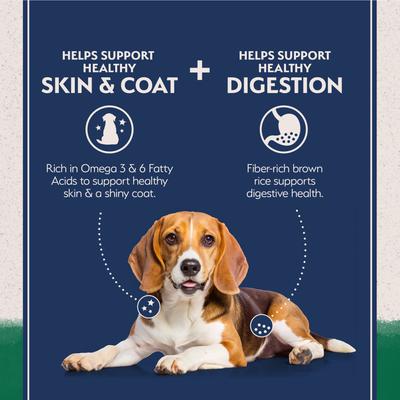 Show full view: Natural Balance Limited Ingredient Lamb & Brown Rice Recipe Dry Dog Food, 4-lb bag slide 4 of 11