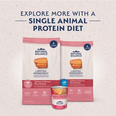 Natural Balance Limited Ingredient Salmon & Brown Rice Recipe Dry Dog Food