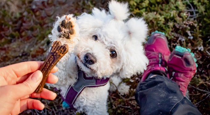 ProDen PlaqueOff Powder Dog & Cat Supplement