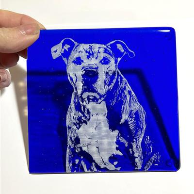 Show full view: Kiku Custom Handmade Pet Portrait Fused Glass Coaster, White Print on Deep Blue Glass, 4-in x 4-in slide 2 of 5
