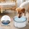 Show in main carousel: UPSKY No Spill Dog Water Bowl, 1.2-gal slide 5 of 9