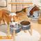 Show in main carousel: UPSKY Elevated Stainless Steel Dog Bowls with Wooden Stand, 27-oz slide 5 of 7