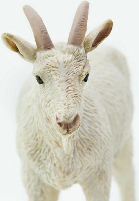 Show full view: Safari Ltd. Nanny Goat slide 4 of 6