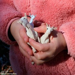 Safari Ltd. Billy Goat slide 2 of 6