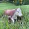 Show in main carousel: Safari Ltd. Hereford Cow slide 5 of 6