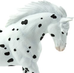 Safari Ltd. Knabstrupper slide 2 of 7