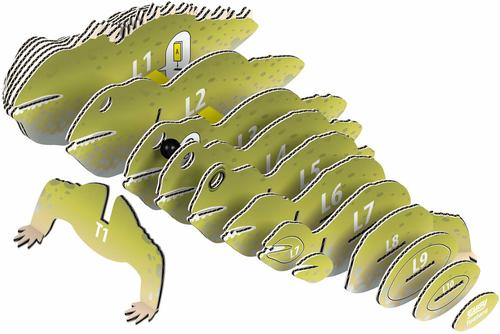 Show full view: Eugy Tuatara 3D Puzzle slide 3 of 4
