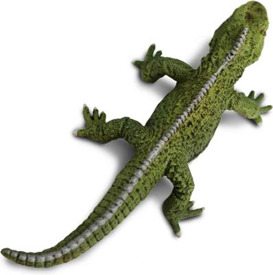 Show full view: Safari Ltd. Tuatara slide 5 of 7