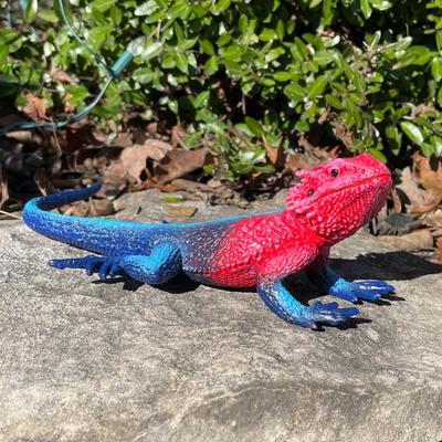 Show full view: Safari Ltd. Mwanza Flat-Headed Rock Agama Figurine slide 6 of 7