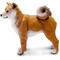 Show in main carousel: Safari Ltd. Shiba Inu slide 2 of 6