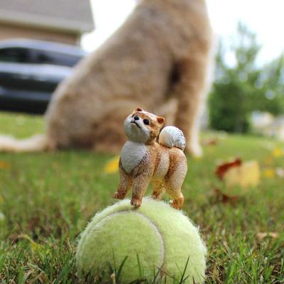 Show full view: Safari Ltd. Pomeranian slide 6 of 7