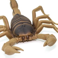 Safari Ltd. Scorpion slide 2 of 7