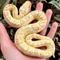 Show in main carousel: Safari Ltd. Albino Burmese Python Figurine slide 6 of 7
