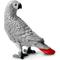 Show in main carousel: Safari Ltd. African Gray Parrot slide 3 of 6