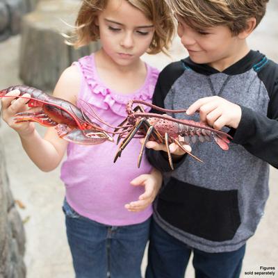 Show full view: Safari Ltd. Spiny Lobster slide 5 of 6
