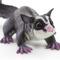 Show in main carousel: Safari Ltd. Sugar Glider slide 4 of 6