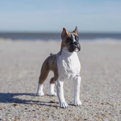 Show full view: Safari Ltd. Boxer slide 7 of 8