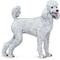 Show in main carousel: Safari Ltd. Poodle slide 1 of 7