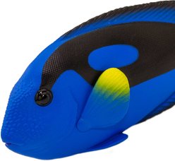 Safari Ltd. Blue Tang Figurine slide 2 of 5