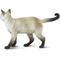 Show in main carousel: Safari Ltd. Siamese Cat slide 3 of 6