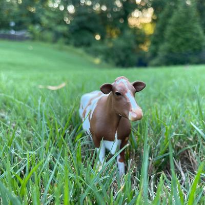 Show full view: Safari Ltd. Ayrshire Cow Figurine slide 6 of 6