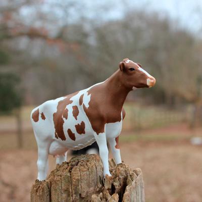 Show full view: Safari Ltd. Ayrshire Cow Figurine slide 5 of 6