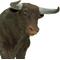 Show in main carousel: Safari Ltd. Black Bull Figurine slide 1 of 6