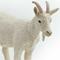 Show in main carousel: Safari Ltd. Nanny Goat slide 3 of 6
