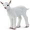 Show in main carousel: Safari Ltd. Kid Goat slide 1 of 6