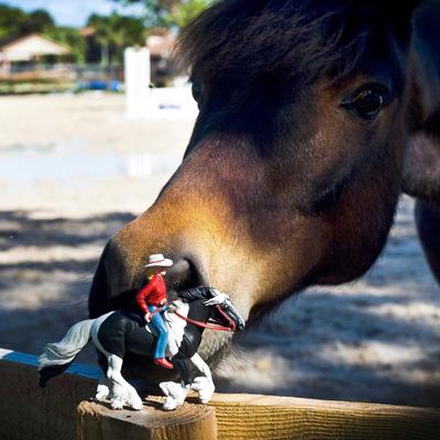 Show full view: Safari Ltd. Audrey On Streaming Light Set slide 6 of 6